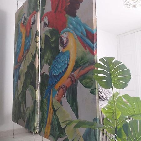 Ferienwohnung Tropical Loft Corralejo Exterior foto